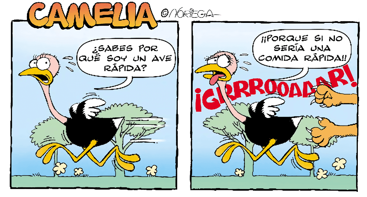 Camelia: Un ave rápida.